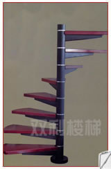 ���������ľ����